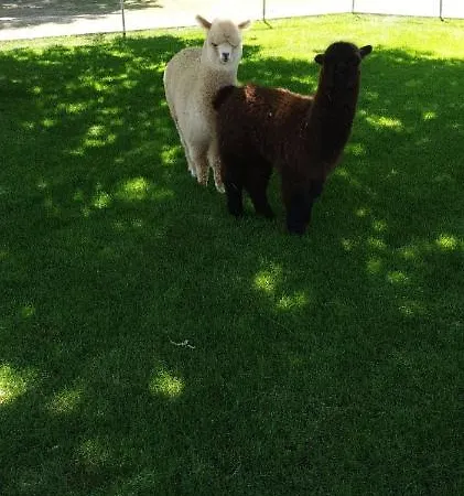 De L'aisne 3* 杜柏