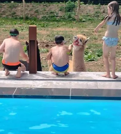 住宿加早餐酒店 De L'aisne 3*