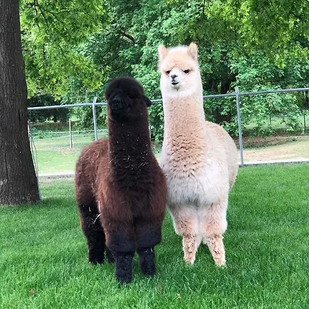 De L'aisne 住宿加早餐酒店
