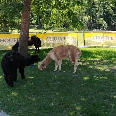 住宿加早餐酒店 De L'aisne