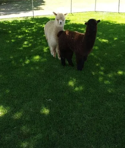 De L'aisne 3* デュルビュイ